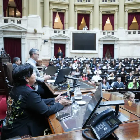 Argentina elige Defensor del Niño: cómo avanza el proceso en Diputados