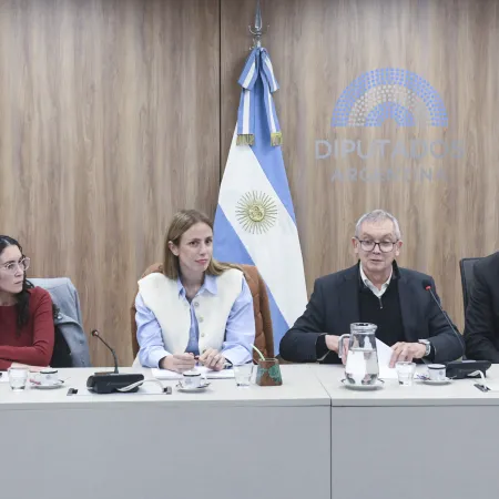 Diputados analizaron el recorte de transferencias a provincias y su impacto
