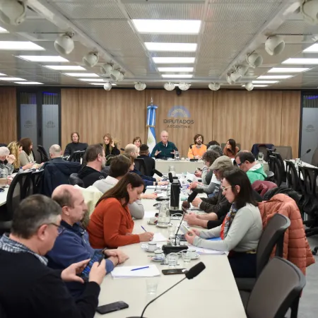 Ciencia en crisis: el reclamo de investigadores argentinos en Diputados