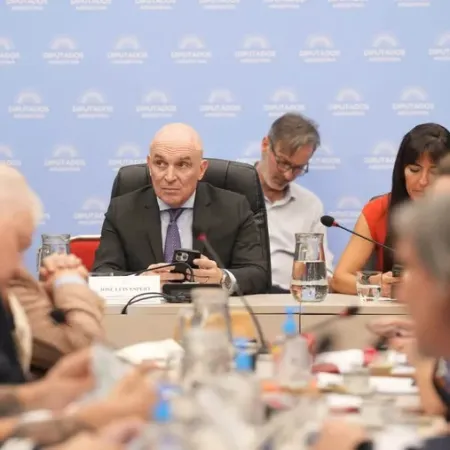 Milei y un nuevo desafío en el Congreso: la estrategia de los gobernadores