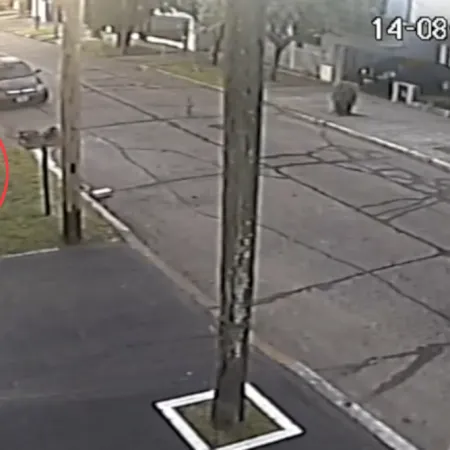 "Nos arruinaron la vida": mataron a una mujer frente a su hijo durante un robo en Villa Luzuriaga