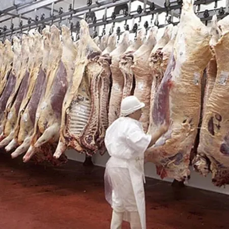 El aumento de la carne, crisis en el biodiésel y repunte en maquinaria, los temas de la semana en el agro