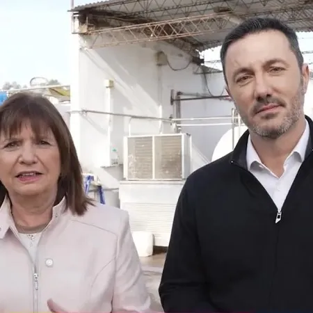 Bullrich al Senado en CABA, Espert en Provincia y Petri en Mendoza entre los principales candidatos