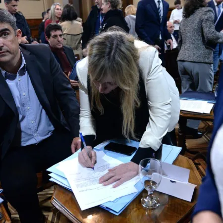 Derrota de Milei en el Senado: el proyecto del Garrahan al borde de la aprobación