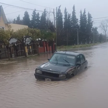 Candidato de Milei se quejó de las inundaciones en La Plata y lo fulminaron: "Fantasma"
