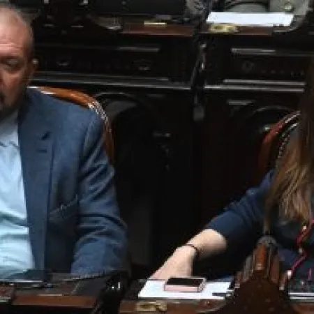 Dos diputados rompieron con el bloque y votaron contra el veto de Milei