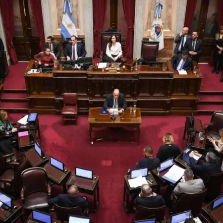 Intensa jornada de debate en el Senado