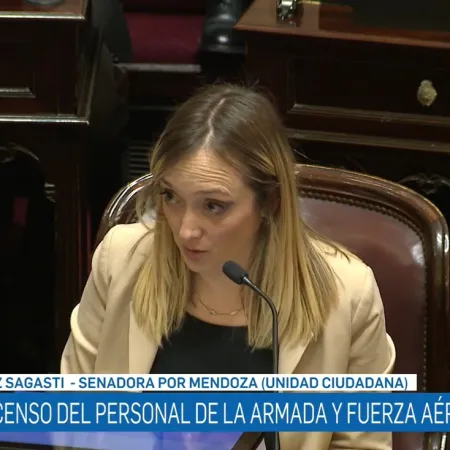 "Unión por la Plat...": el insólito furcio de Fernández Sagasti en plena sesión