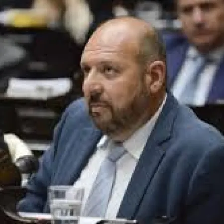 Carlos D’Alessandro apunta contra Karina Milei