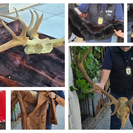 Secuestran ropa de pieles animales valuada en $335 millones en Villa Crespo
