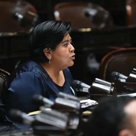 Natalia Sarapura: "En materia de discapacidad, el Gobierno Nacional discrimina"