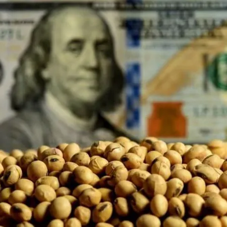 Superávit de cuenta corriente: liquidación récord del agro y el petróleo