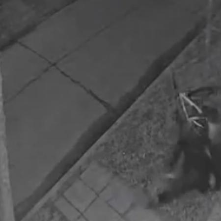 Caen ladrones de punta: robó una bicicleta, saltó desde un primer piso y escapó como si nada
