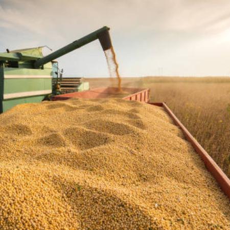 Soja: Argentina acelera ventas mientras China sigue comprando en Brasil