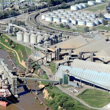 El Gobierno confirmó la baja de retenciones y los exportadores marcaron un récord: asi fue la semana del agro
