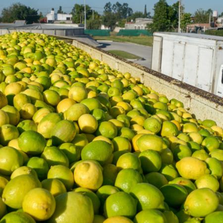 Maní, aceite de soja y limón, en el podio de las exportaciones argentinas al mundo