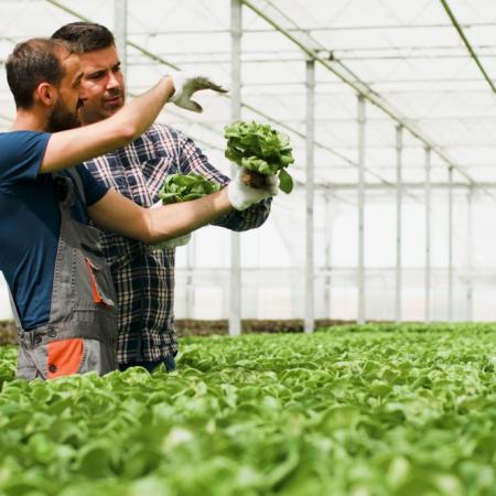 Empresas agropecuarias familiares: el desafío de pasar de la herencia a la gestión