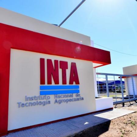 Una tregua para el INTA: la Justicia cerró la puerta a la "motosierra" del presidente Milei