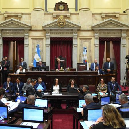 El Senado planea rechazar los vetos de Milei a dos leyes clave