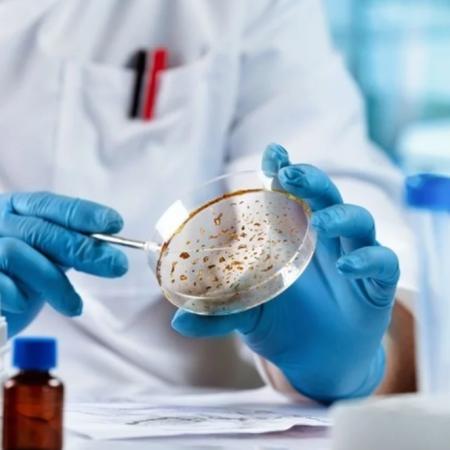 Visualizan neurorreceptores con Inteligencia Artificial para estudiar el Alzheimer