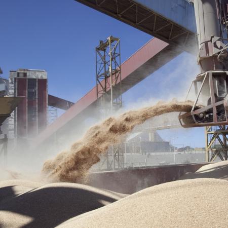 La BCR proyectó exportaciones del campo por USD 31.564 millones para 2025