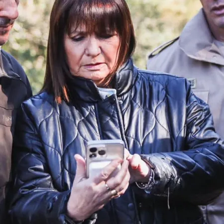 Bullrich pidió allanar a Rial y reflotaron su tuit opuesto del 2014: "Censura"
