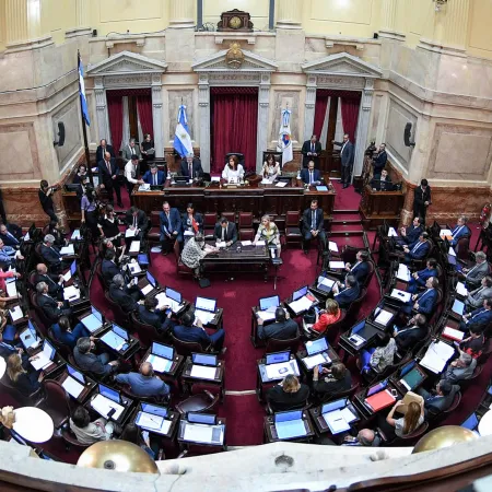 El Senado podría rechazar hoy el veto a la ley de Emergencia en Discapacidad