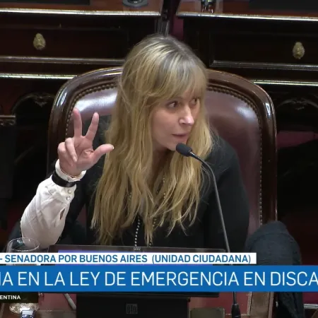 Voltearon el veto de Milei a la Emergencia en Discapacidad: el polémico gesto de Di Tullio