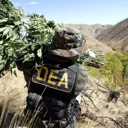 Narcotráfico y corrupción: el vínculo que debilita a los Estados