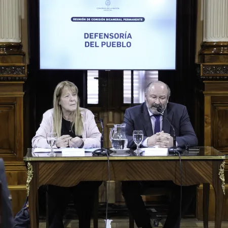 Defensor del Pueblo: el Congreso inició el proceso tras 16 años de vacancia
