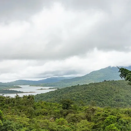 Centroamérica lanza plan ambiental para frenar deforestación: qué propone
