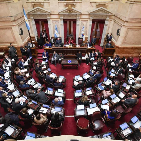 ATN: el Senado se prepara para voltear el veto de Milei al proyecto de gobernadores