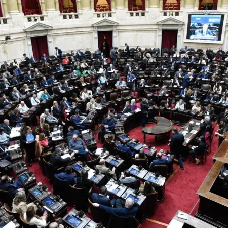 Diputados se reúne el miércoles para tratar vetos, ANDIS y fentanilo