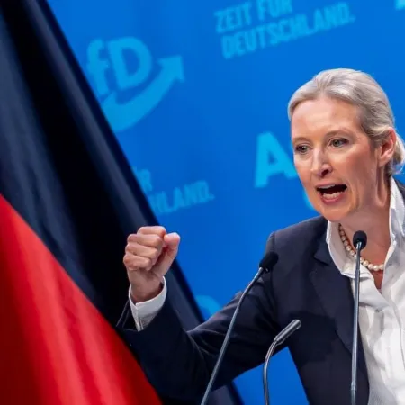 Elecciones en Alemania: el ascenso de AfD y lo que significa para el futuro