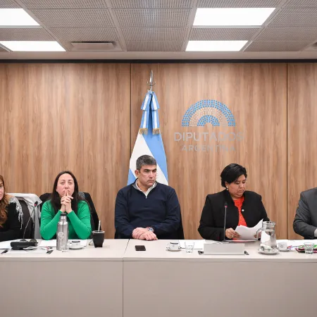Un diputado denunció demoras y conflicto de intereses en la elección del Defensor del Niño