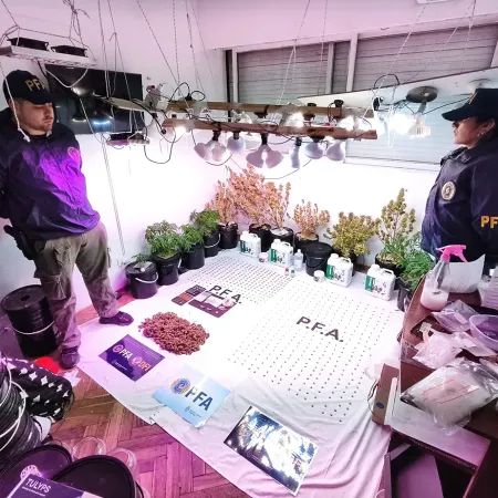 Golpe al narcotráfico en Rosario: incautaron drogas de diseño valuadas en más de 60 millones de pesos