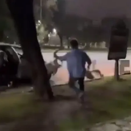 Palermo: un joven se llevó dos gansos de los Lagos y luego los filmó en su piscina
