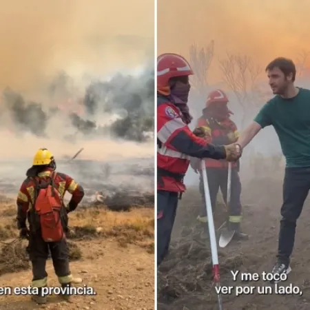 Incendios: la jugada de Chubut, Río Negro y Neuquén para proteger la cordillera