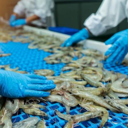 La industria de la pesca en crisis: Los factores que explican el peor momento de la década 