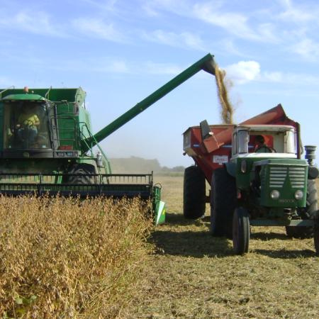 La semana del agro, con la quita en los derechos de exportación como protagonista excluyente