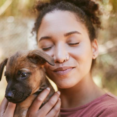 Perros sin hogar: un estudio mundial resalta la importancia de adoptar