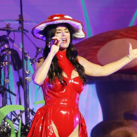Katy Perry llega a la Argentina: todo lo que tenés que saber