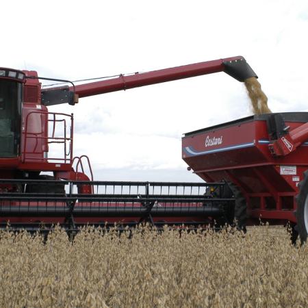 La Bolsa de Cereales de Buenos Aires anticipó una cosecha récord de 142,6 millones de toneladas