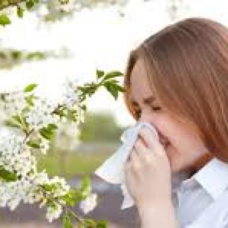 Alergias en primavera: crecieron hasta un 30% las consultas en todo el país