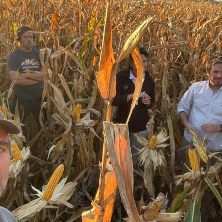 AAPRESID explicó cómo aprovechar al máximo el maíz en el sudeste de Buenos Aires
