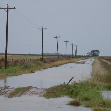 El Gobierno decretó la emergencia agropecuaria en Buenos Aires y San Juan