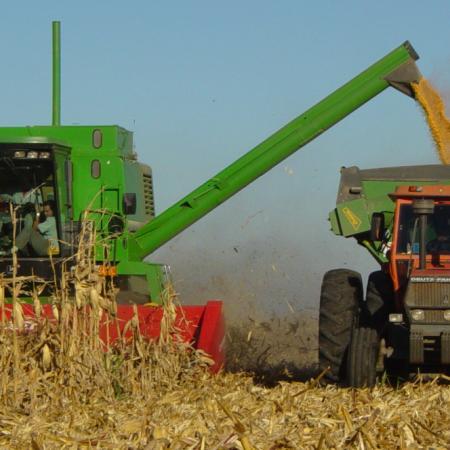 La semana del agro, entre un maíz que apunta al récord, soja en retroceso y reclamos por biodiésel