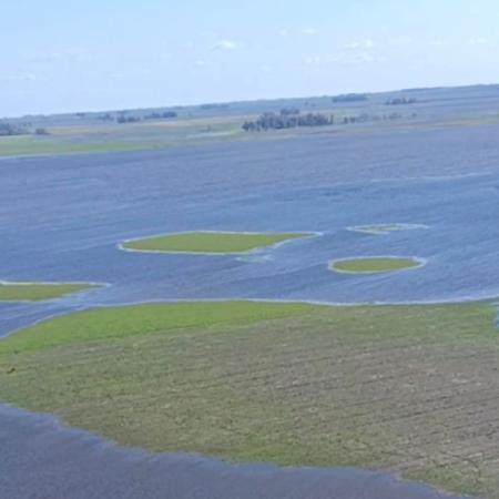 Por inundaciones, extienden la emergencia agropecuaria en Bolívar, Carlos Casares, 9 de Julio y Tapalqué