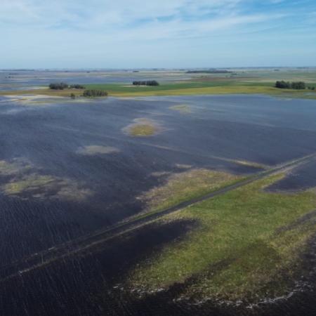 CARBAP alertó que hay más de 3 millones de hectáreas afectadas por las lluvias en Buenos Aires