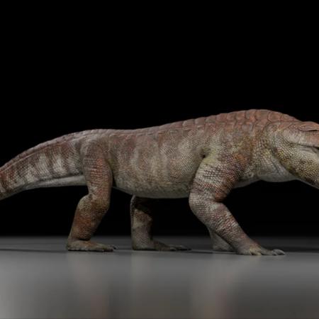 Descubren en la Patagonia una nueva especie de cocodrilo prehistórico